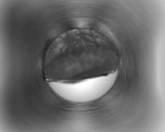 X0000088690461200706211930