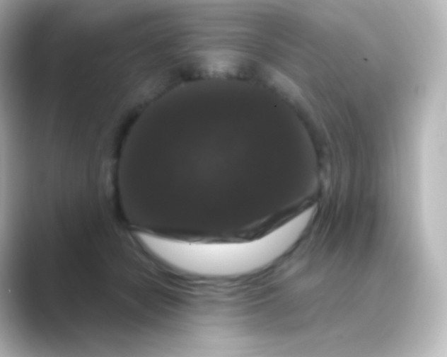 X0000088690462200706211930