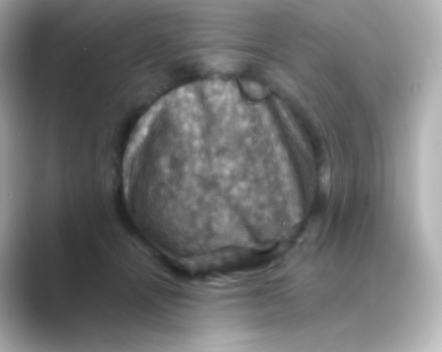 X0000088690464200706211930