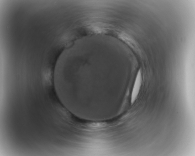 X0000088690465200706211930