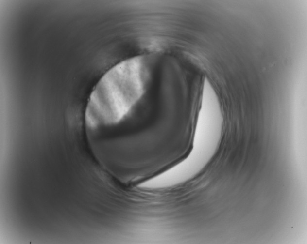 X0000088690466200706211930