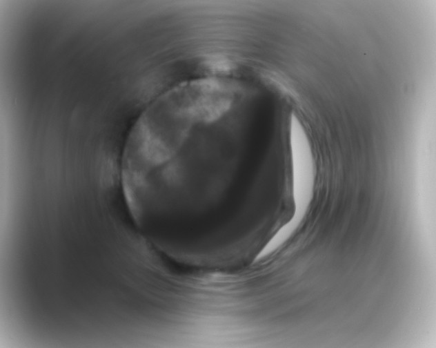 X0000088690467200706211930