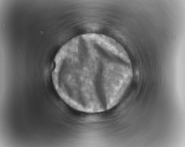 X0000088690468200706211930