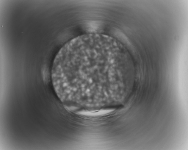 X0000088690469200706211930