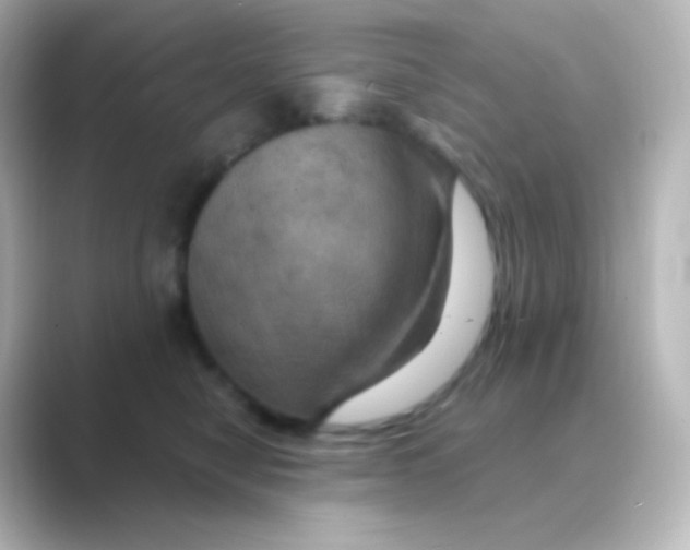 X0000088690470200706211930