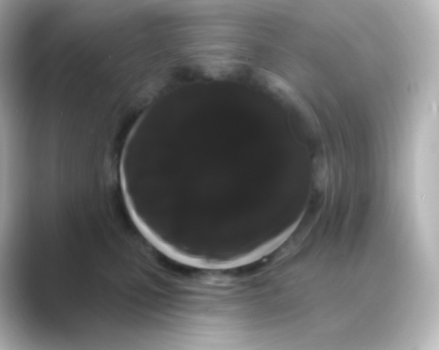 X0000088690471200706211930