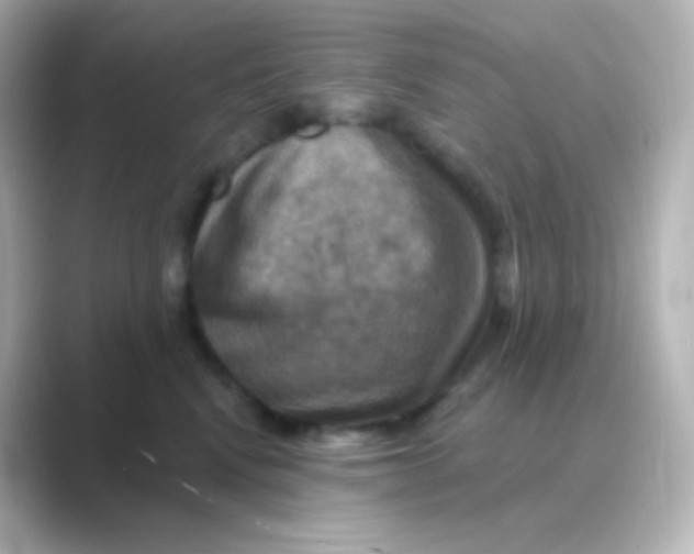 X0000088690472200706211930