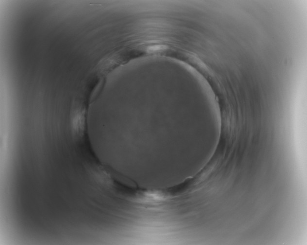 X0000088690475200706211930