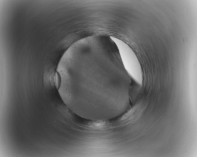 X0000088690479200706211930