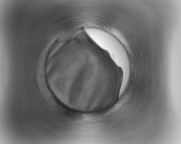 X0000088690481200706211929