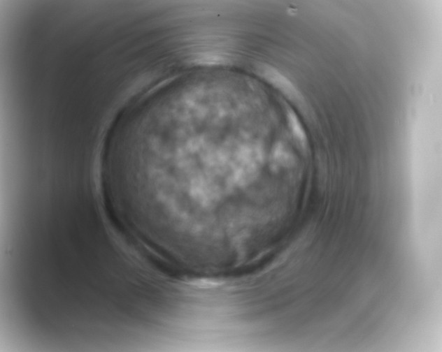 X0000088690482200706211929