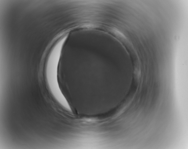X0000088690484200706211929