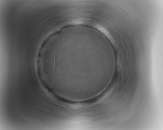 X0000088690485200706211929