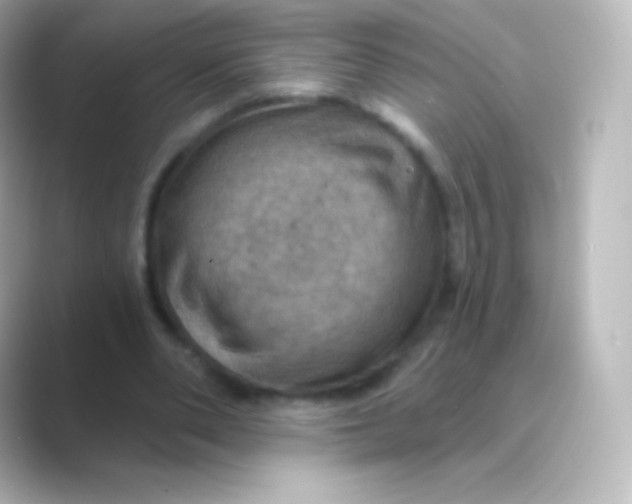X0000088690486200706211929