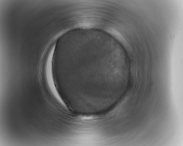 X0000088690488200706211929