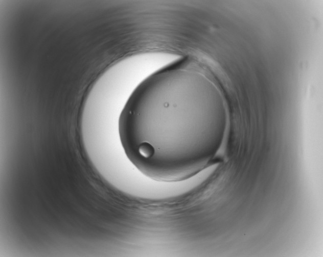 X0000088690489200706211929
