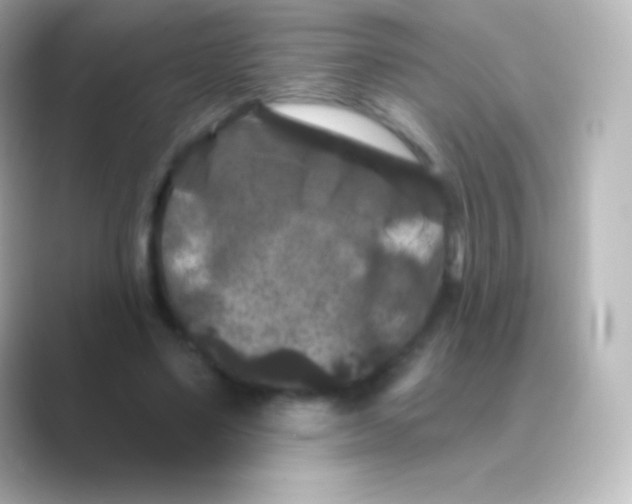 X0000088690491200706211929
