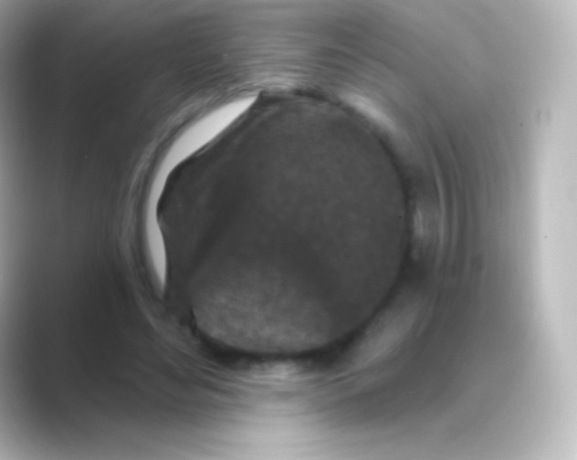X0000088690492200706211929