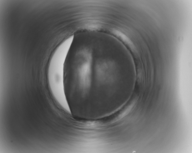 X0000088690493200706211929