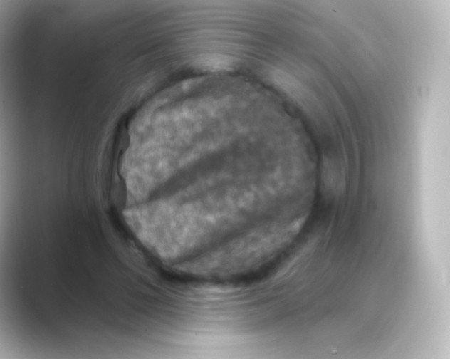 X0000088690494200706211929
