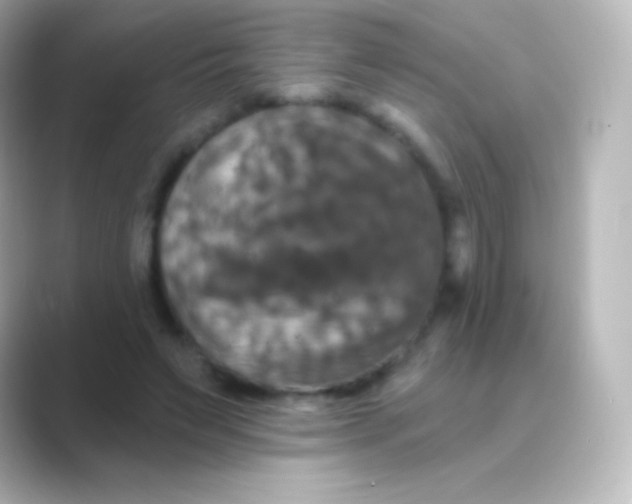 X0000088690495200706211929