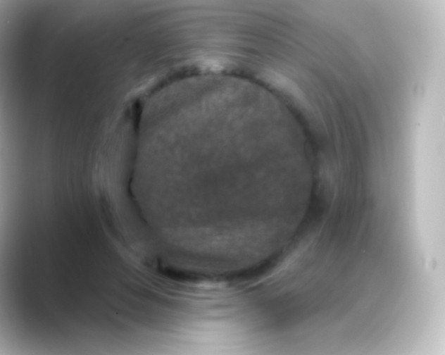 X0000088690496200706211929