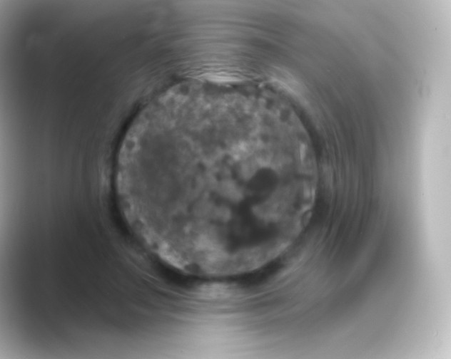 X0000088690499200706211929