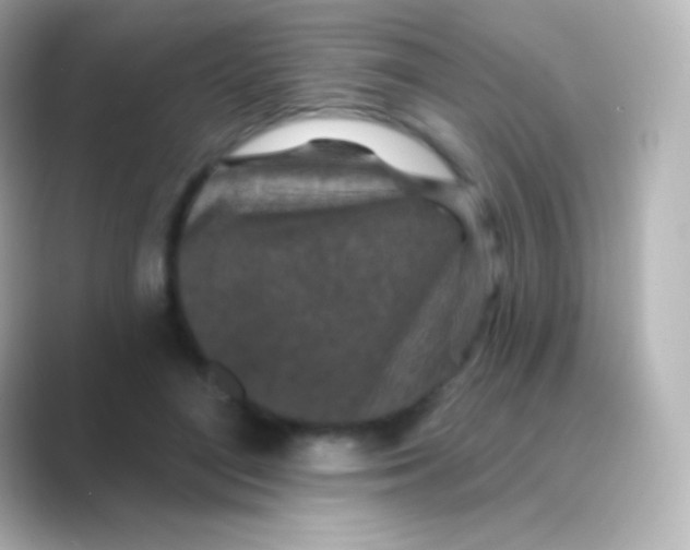 X0000088690500200706211929