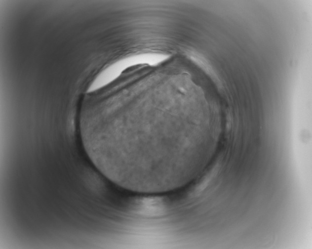 X0000088690501200706211929