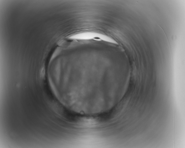 X0000088690502200706211929