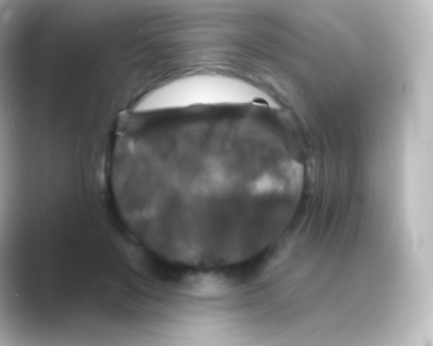 X0000088690503200706211929