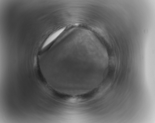 X0000088690504200706211929