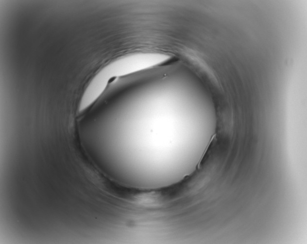 X0000088690505200706211929
