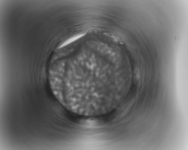X0000088690506200706211929