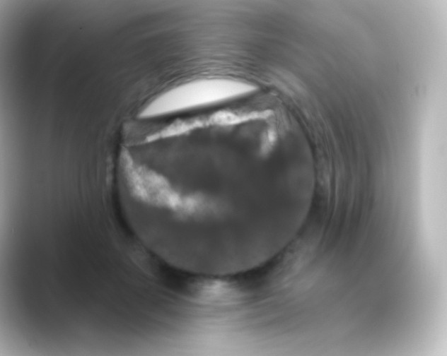 X0000088690507200706211929
