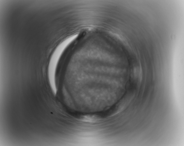 X0000088690508200706211929
