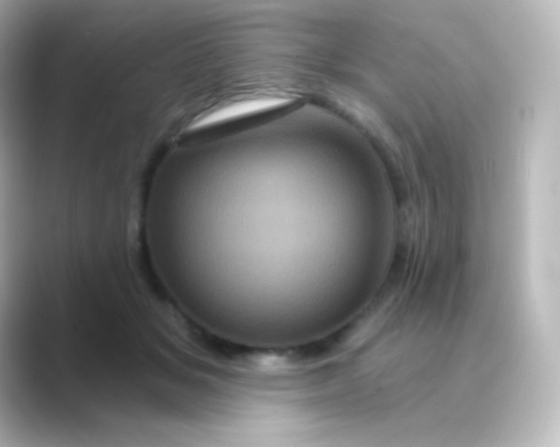X0000088690509200706211929