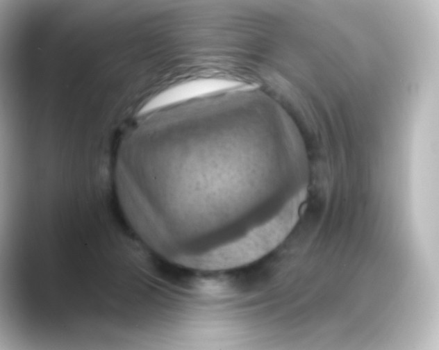 X0000088690510200706211929