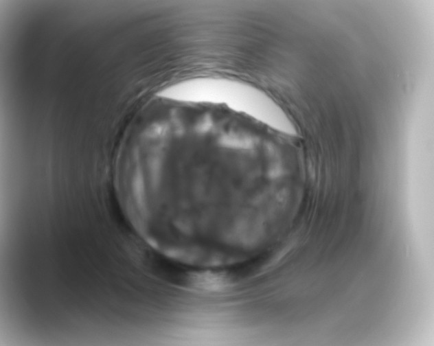 X0000088690511200706211929
