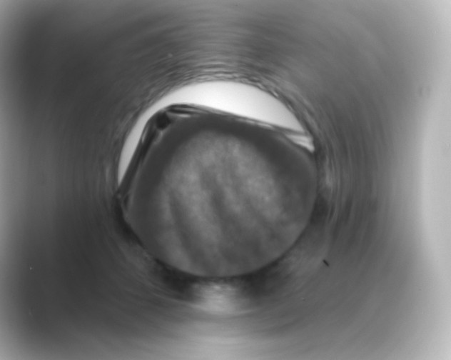 X0000088690512200706211929