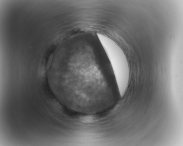 X0000088690513200706211929