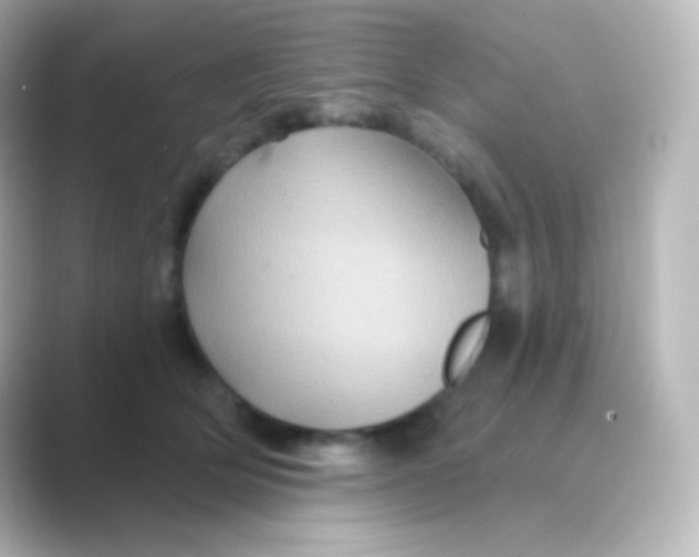 X0000088690514200706211929