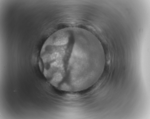 X0000088690515200706211929