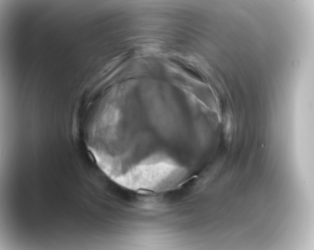 X0000088690516200706211929