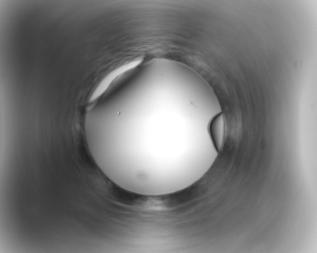 X0000088690518200706211929