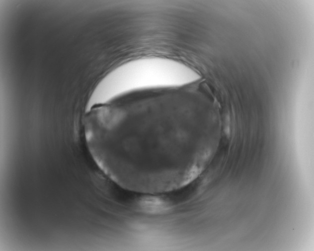 X0000088690519200706211929