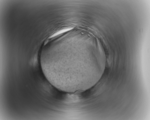 X0000088690520200706211929
