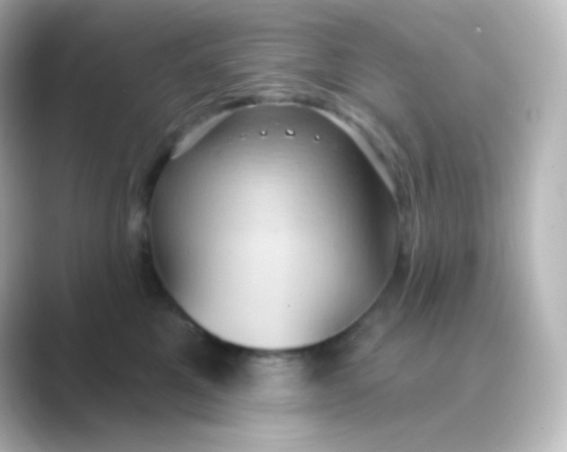X0000088690521200706211929