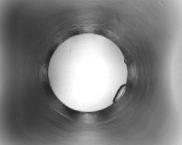 X0000088690522200706211929
