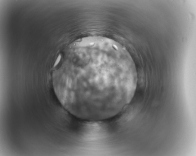 X0000088690523200706211929